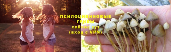 гидропоника Володарск