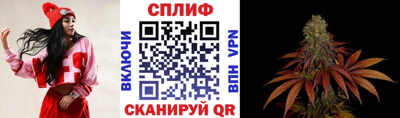 МАРИХУАНА сатива Нахабино